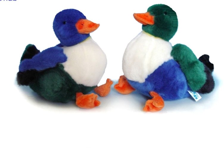 Pato Eric  |  Menal