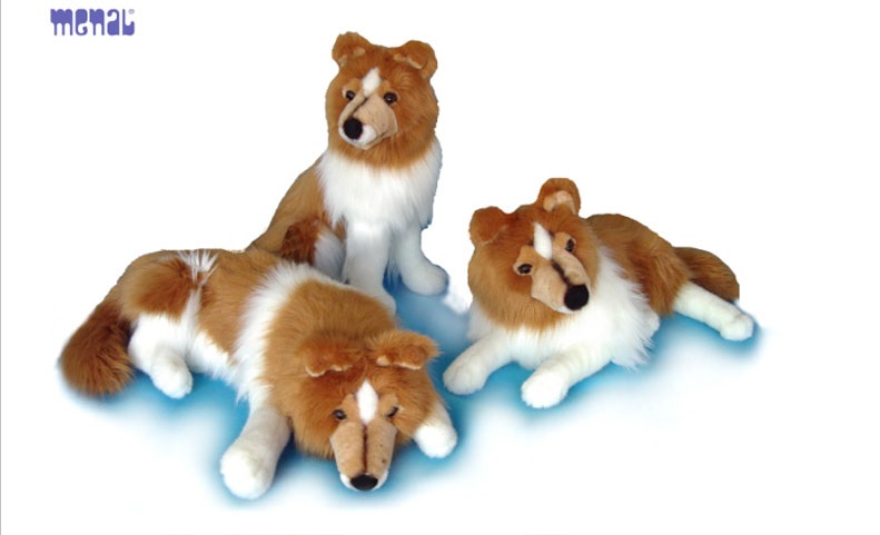 Collie Sentado - Tumbado - Dormido