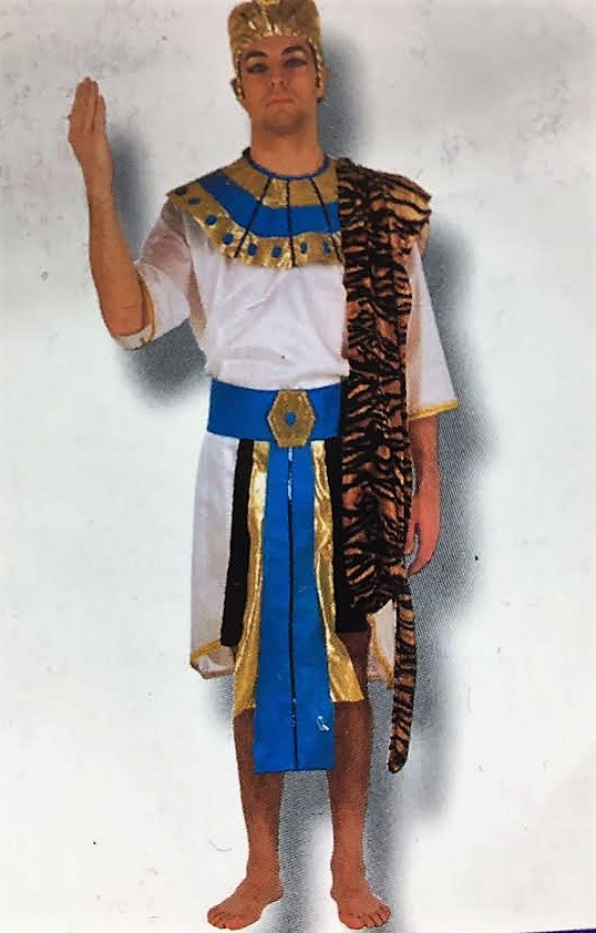 EGIPCIO  ( tigre )
