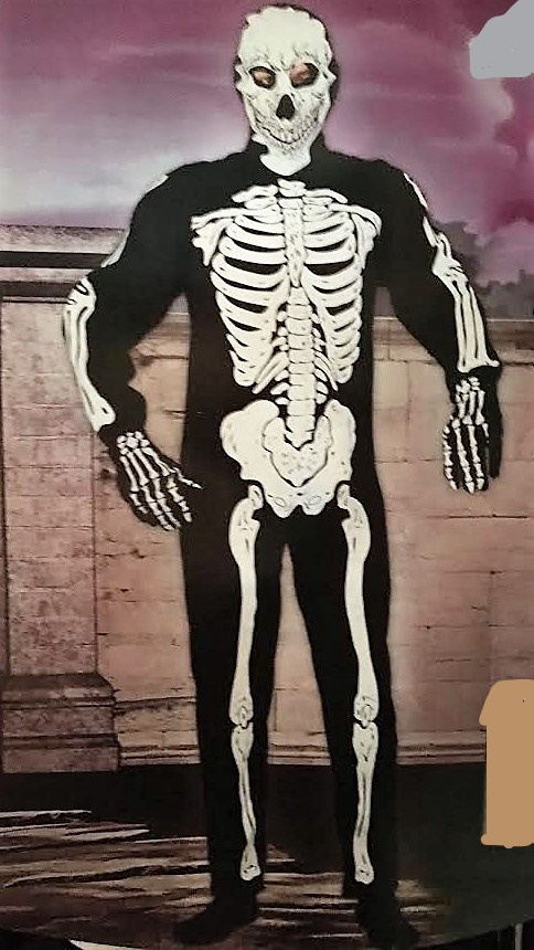ESQUELETO